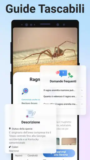 Picture Insect - ID Insetti screenshot