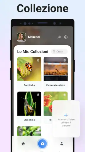 Picture Insect - ID Insetti screenshot