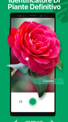 PictureThis Identificar Planta screenshot