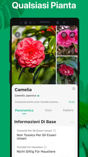 PictureThis Identificar Planta screenshot