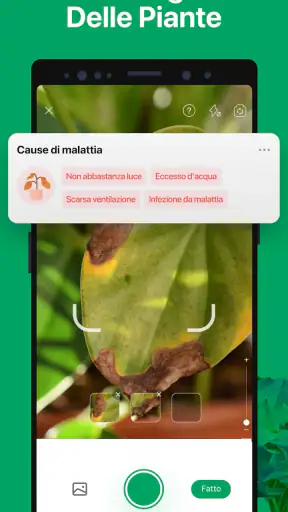 PictureThis Identificar Planta screenshot
