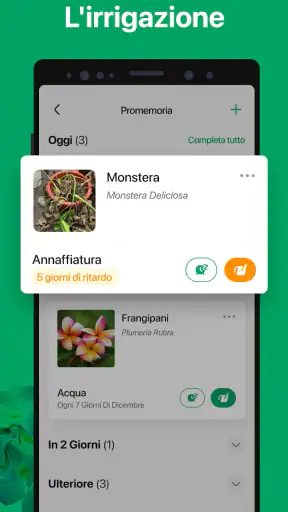 PictureThis Identificar Planta screenshot