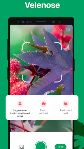 PictureThis Identificar Planta screenshot