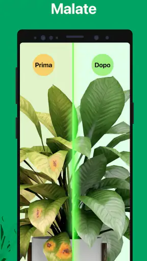 PictureThis Identificar Planta screenshot