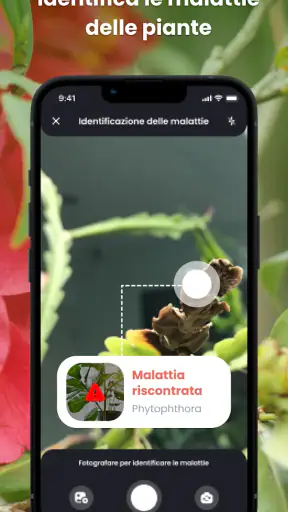 PlantIn: Riconoscere le Piante screenshot