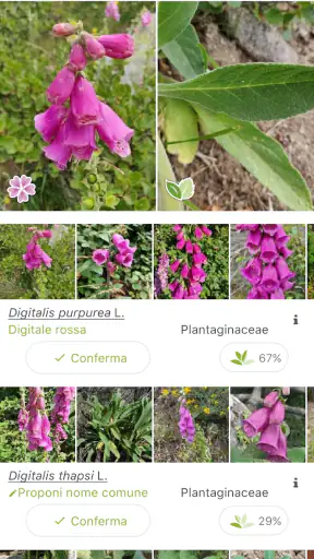 PlantNet Plant Identification screenshot