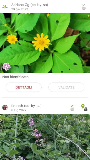 PlantNet Plant Identification screenshot