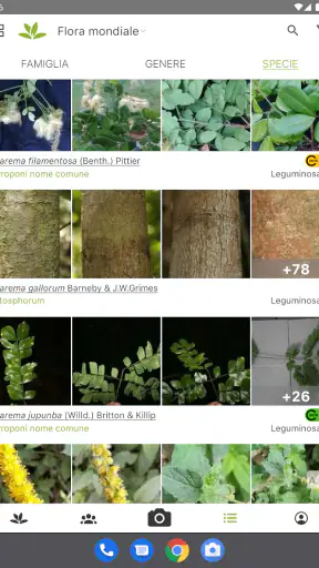 PlantNet Plant Identification screenshot