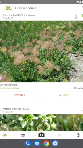 PlantNet Plant Identification screenshot