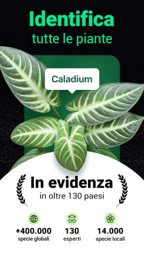 Plantum - Riconoscere piante screenshot