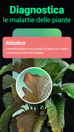 Plantum - Riconoscere piante screenshot