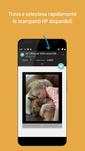 Plugin per i servizi di stampa screenshot