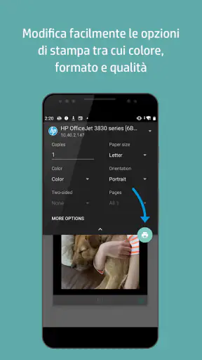 Plugin per i servizi di stampa screenshot