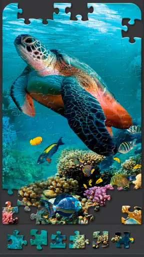 Puzzle per adulti screenshot