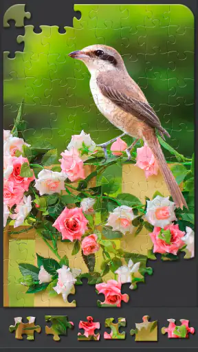 Puzzle per adulti screenshot