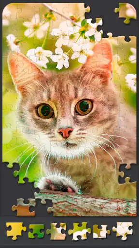 Puzzle per adulti screenshot