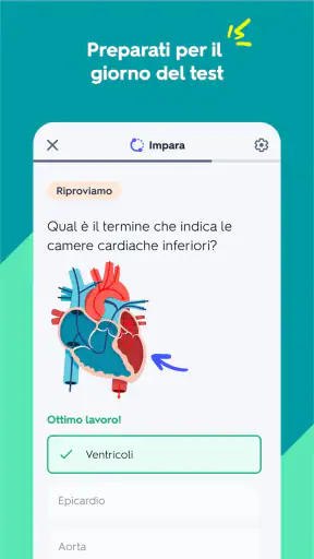 Quizlet: Flashcard con IA screenshot