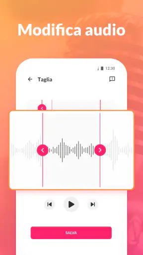 Registratore e memo vocali screenshot
