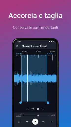 Registratore Vocale Facile Pro screenshot