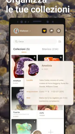 Rock Identifier - Pietra ID screenshot