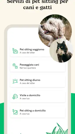 Rover - Dog sitting e walking screenshot
