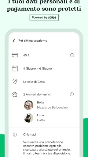 Rover - Dog sitting e walking screenshot