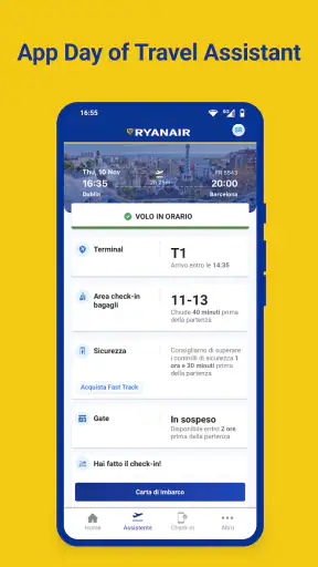 Ryanair screenshot