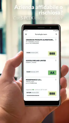 s-peek - Credit report screenshot