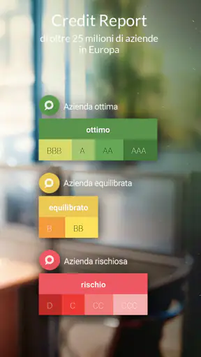 s-peek - Credit report screenshot