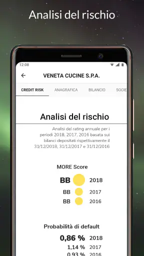 s-peek - Credit report screenshot