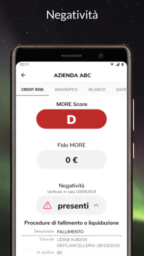 s-peek - Credit report screenshot