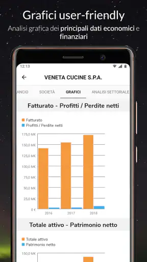 s-peek - Credit report screenshot