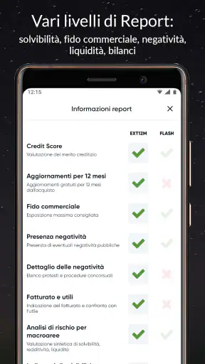 s-peek - Credit report screenshot