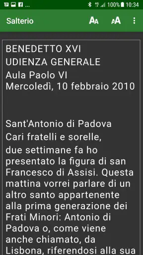 Salterio Biennale screenshot