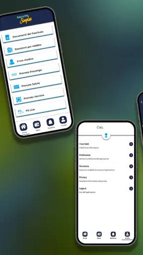 SaluteSimplex screenshot