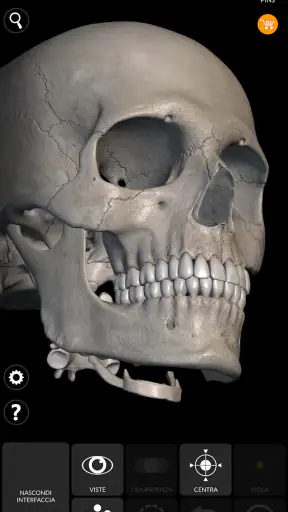 Scheletro | Anatomia 3D screenshot