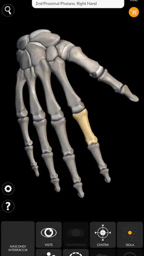 Scheletro | Anatomia 3D screenshot