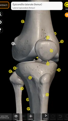 Scheletro | Anatomia 3D screenshot