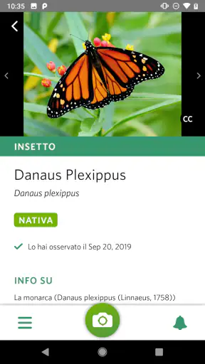 Seek di iNaturalist screenshot