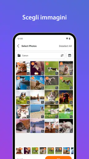 SELPHY Photo Layout screenshot