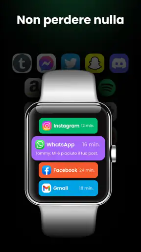 Smartwatch - Wear OS Sincro screenshot
