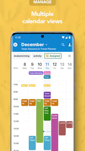 Teamup Calendar screenshot