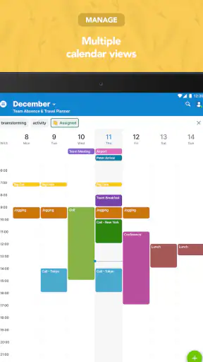 Teamup Calendar screenshot