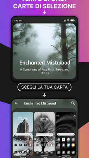 Temi screenshot
