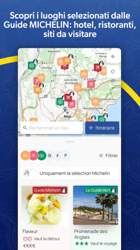 ViaMichelin GPS, Mappe screenshot