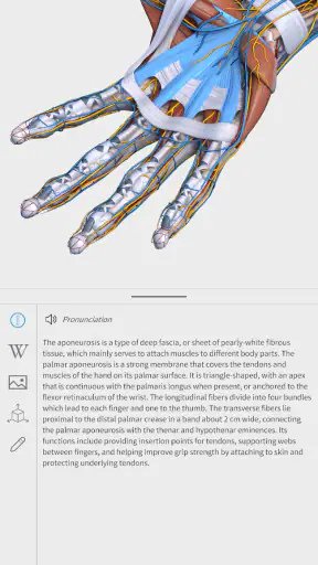 Visual Anatomy 3D - Human body screenshot