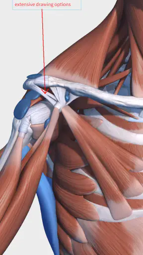 Visual Anatomy 3D - Human body screenshot