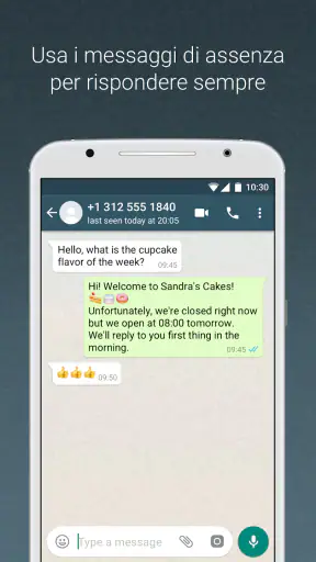 WhatsApp Business screenshot