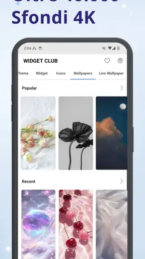 WidgetClub: Temi, Sfondi, Icon screenshot