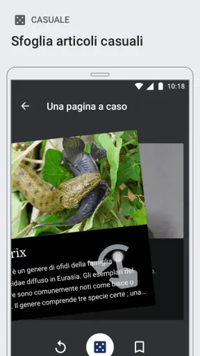 Wikipedia screenshot